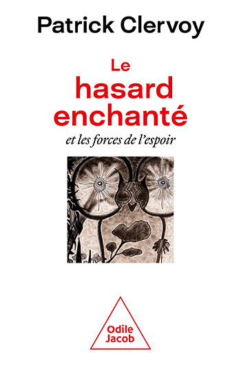 Hasard enchanté (Le)