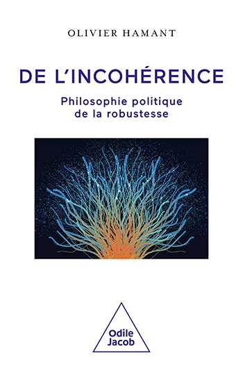 De l'incohérence - Philosophie politique de la robustesse