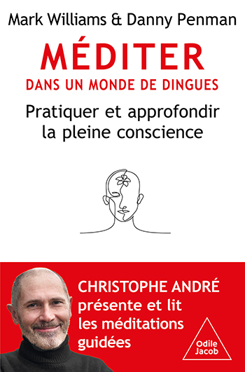 Méditer dans un monde de dingues - Pratiquer et approfondir la pleine conscience