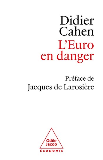 Euro en danger (L')