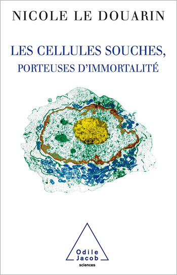 Cellules souches, porteuses d'immortalité (Les)