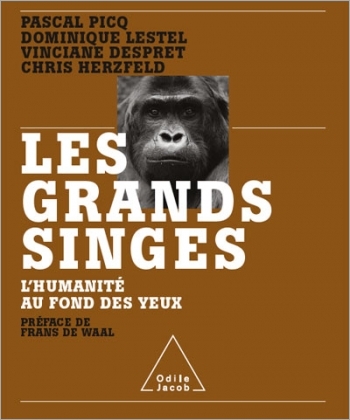 Grands Singes (Les) - L’Humanité au fond des yeux
