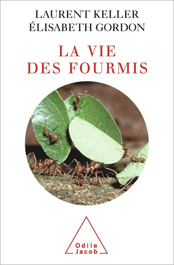 Vie des fourmis (La)