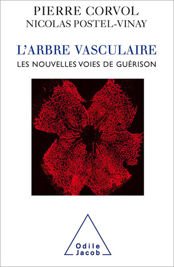 Arbre vasculaire (L') - Les nouvelles voies de guérison