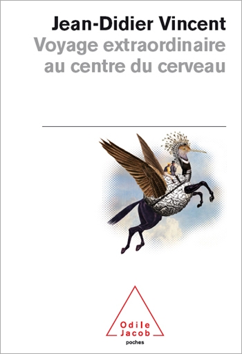 Voyage extraordinaire au centre du cerveau