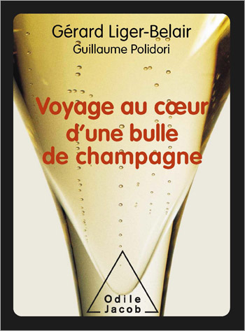 Voyage au cœur d’une bulle de champagne