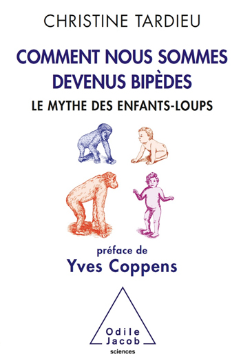 Comment nous sommes devenus bipèdes - Le mythe des enfants-loups
