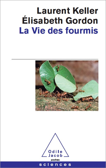 Vie des fourmis (La)