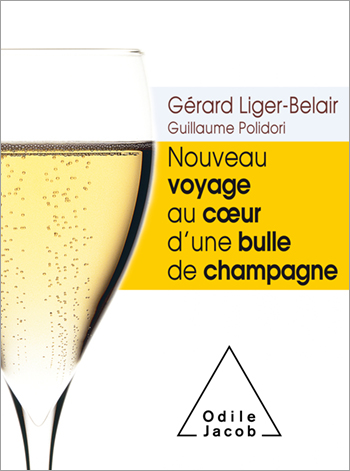 Nouveau voyage au cœur d’une bulle de champagne
