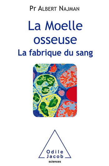 Moelle osseuse (La) - La fabrique du sang