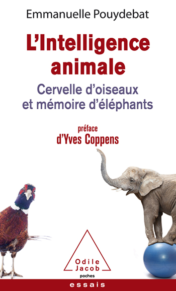 Intelligence animale (L') - Cervelle d'oiseaux et mémoire d'éléphants